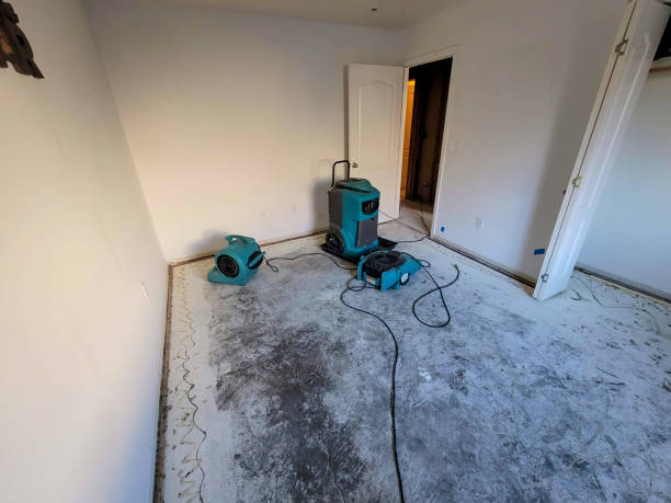 Best Professional water damage repair  in Mcadenville, NC