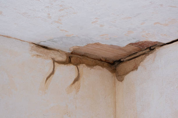 Best Flooded house restoration  in Mcadenville, NC