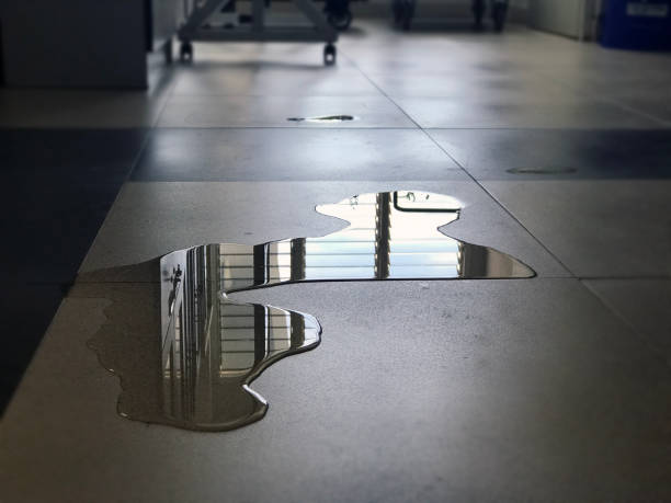 Best Water damage restoration near me  in Mcadenville, NC