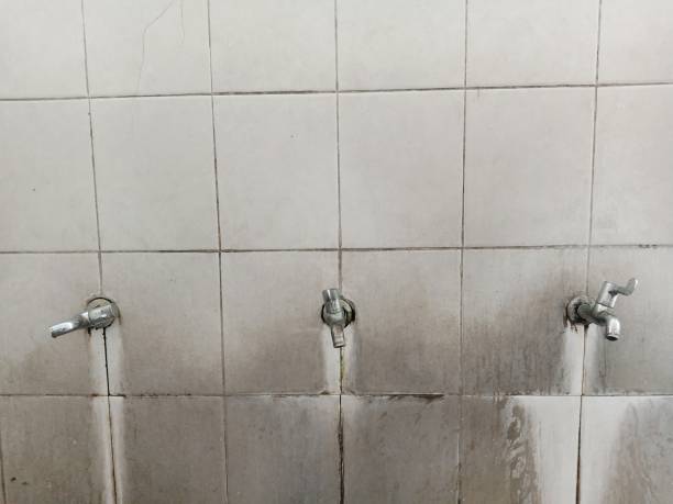 Best Residential water damage restoration  in Mcadenville, NC