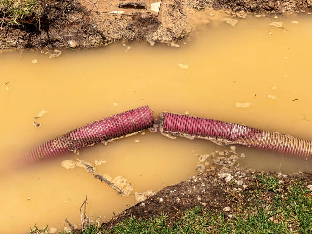 Best Water damage contractors near me  in Mcadenville, NC